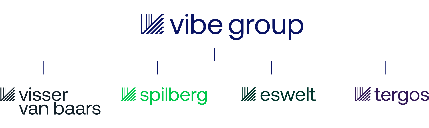 brand_structure_vibe_group_transparant.png